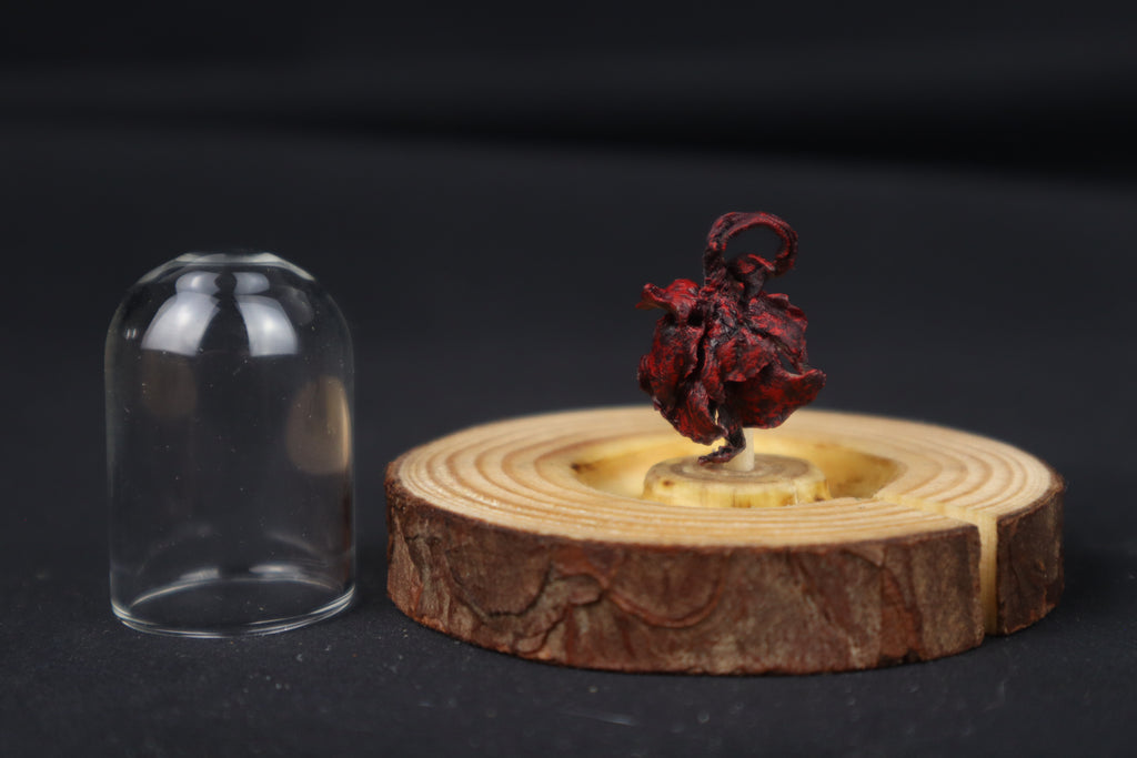 Dry Preserved Red Fox Kit Lungs in Glass Dome