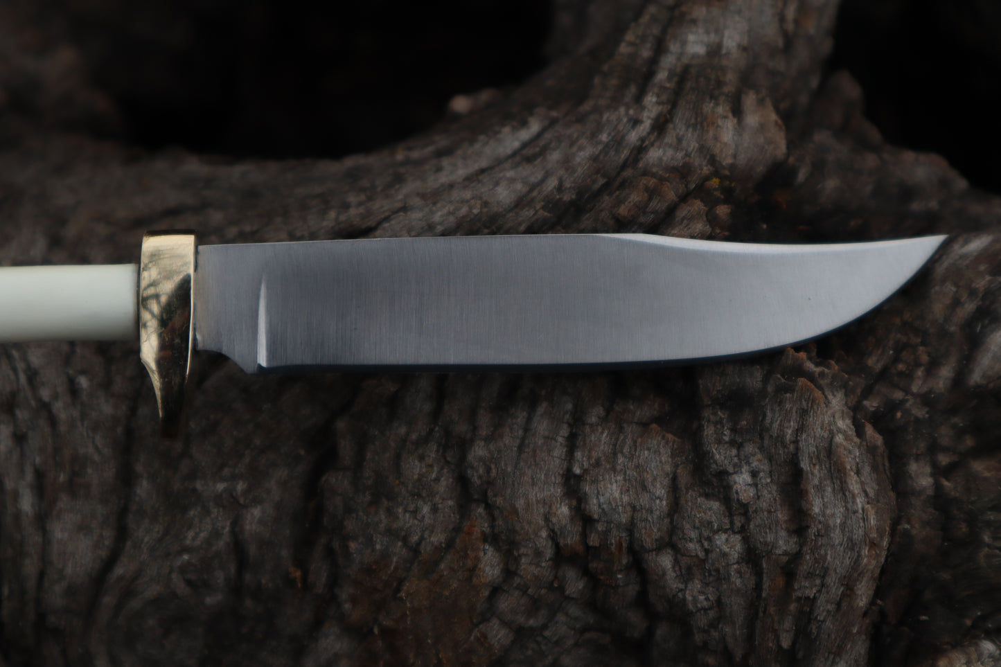 Polydactyl Cat Femur Knife