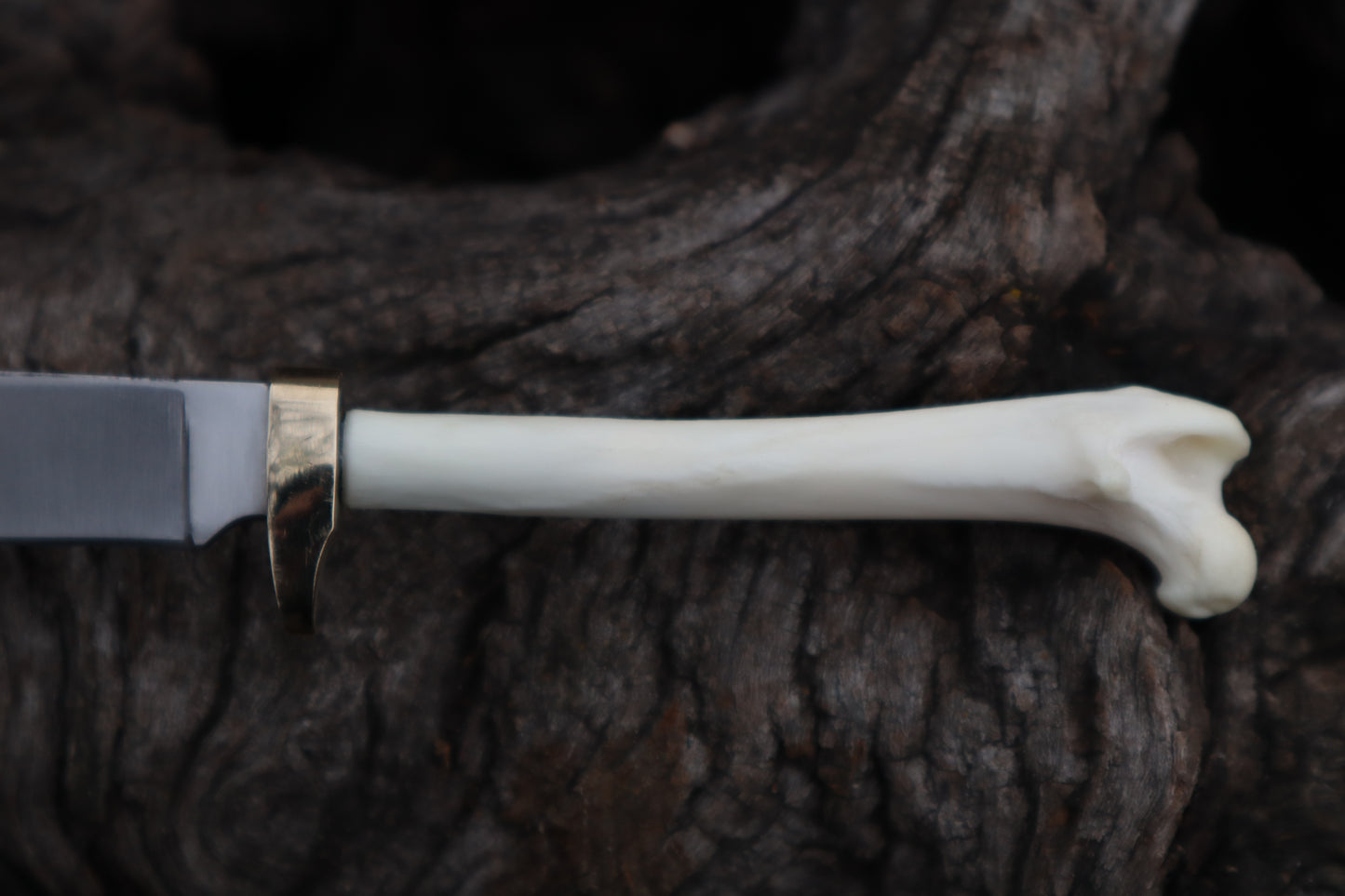 Polydactyl Cat Femur Knife