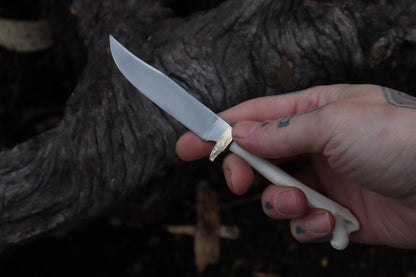 Polydactyl Cat Femur Knife