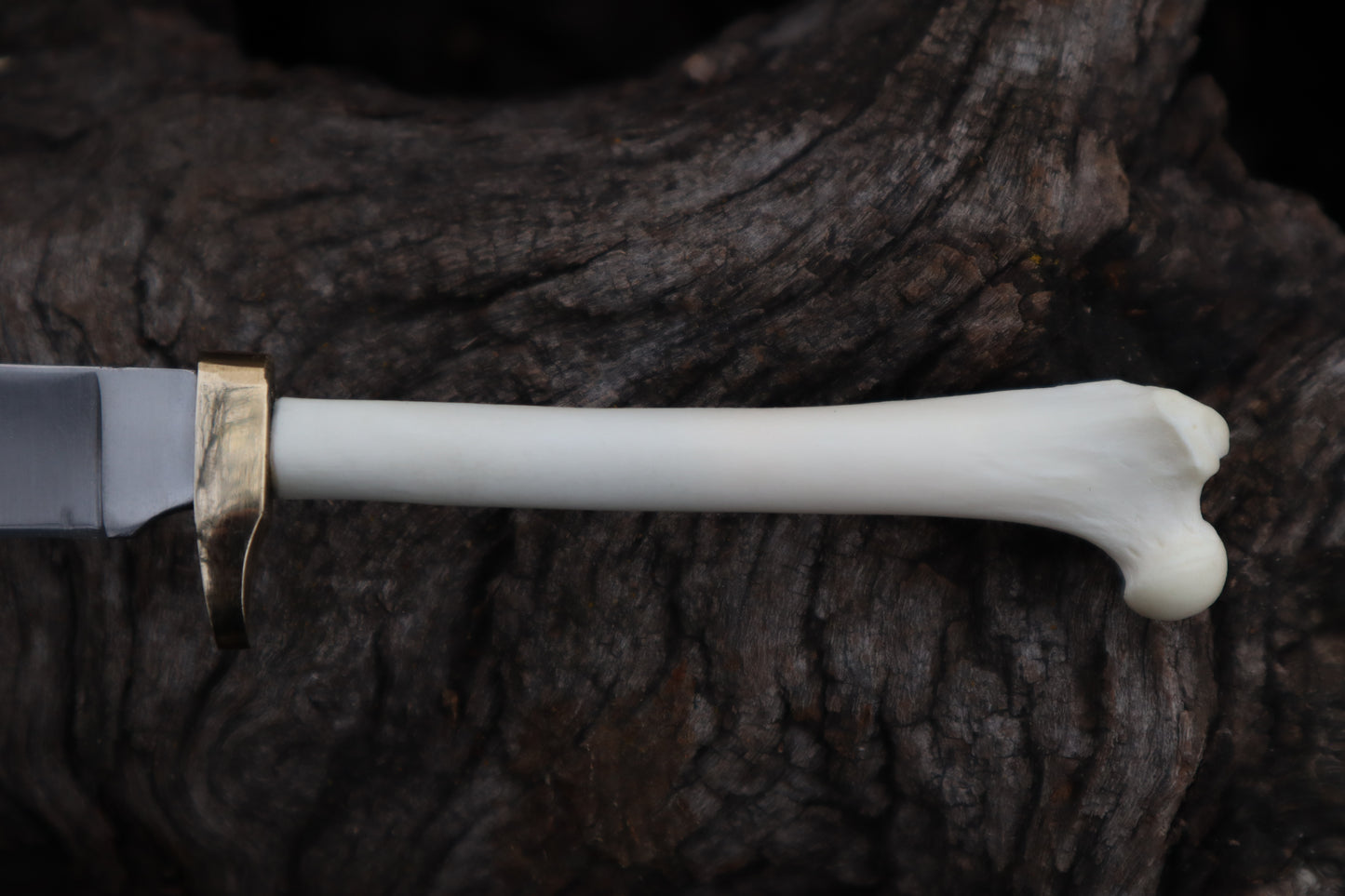 Polydactyl Cat Femur Knife