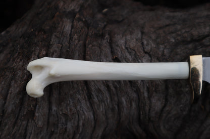 Polydactyl Cat Femur Knife