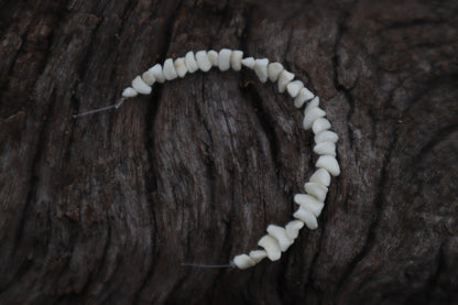 Polydactyl Cat Bone Beads - Small