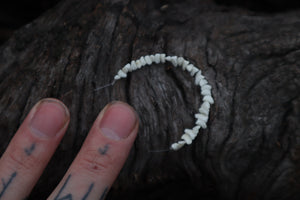 Polydactyl Cat Bone Beads - Small