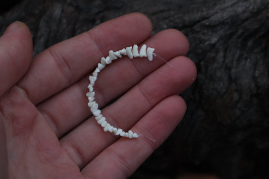 Polydactyl Cat Bone Beads - Small