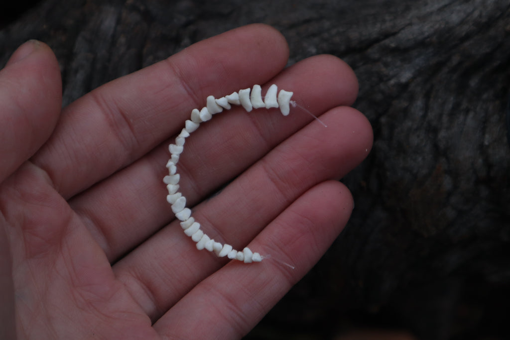 Polydactyl Cat Bone Beads - Small
