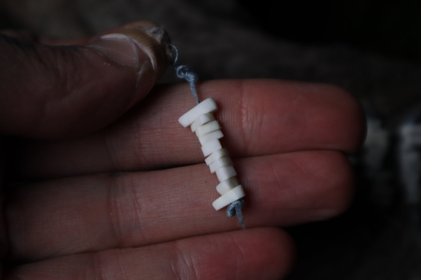 Domestic Cat Bone Beads