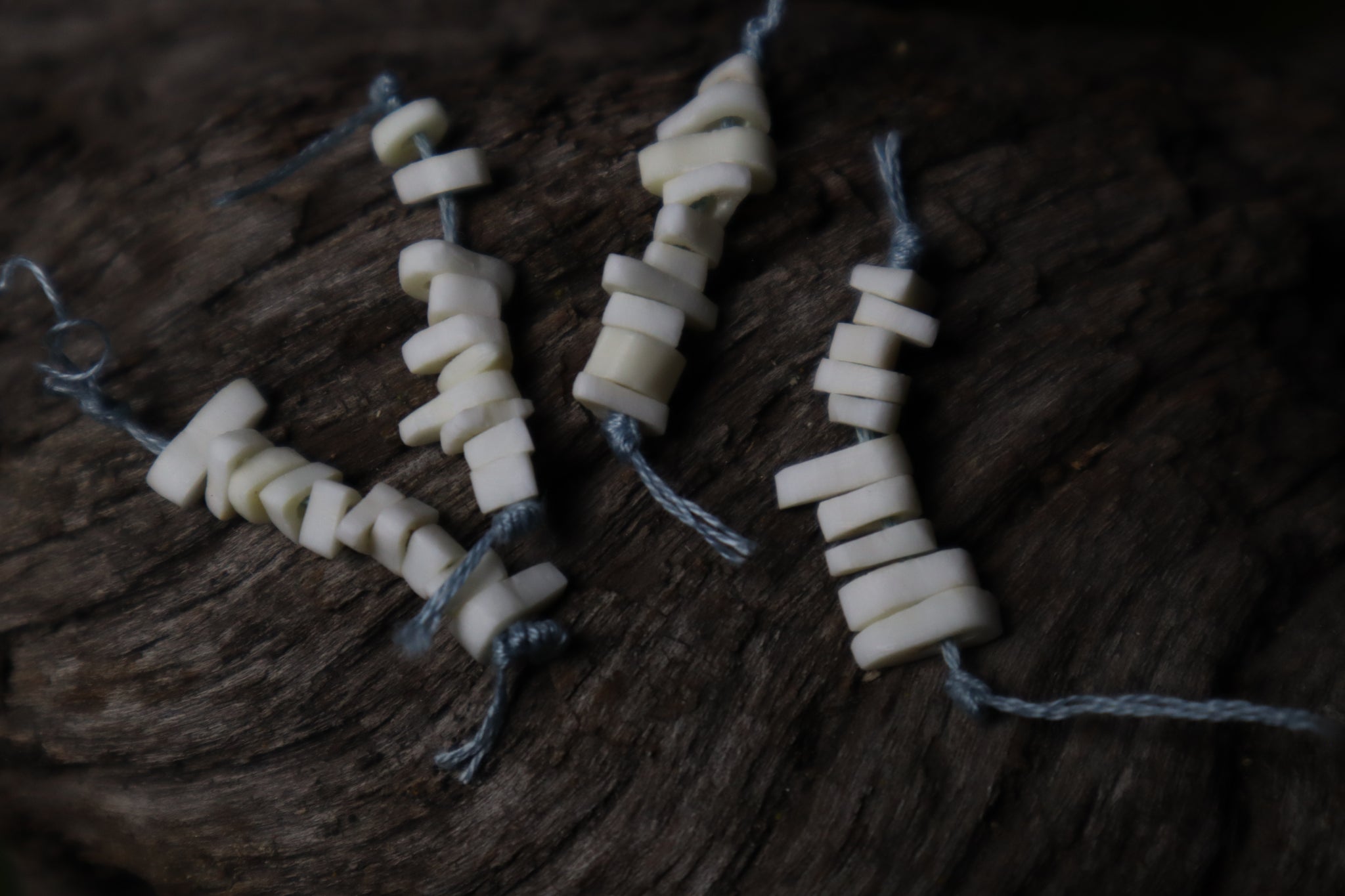 Domestic Cat Bone Beads