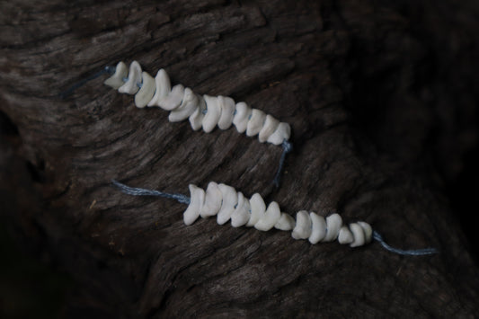 Coyote Bone Beads