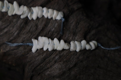 Coyote Bone Beads