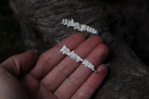 Coyote Bone Beads