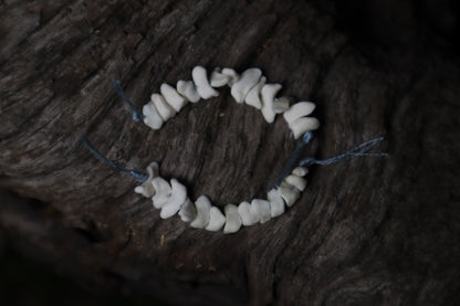 Coyote Bone Beads