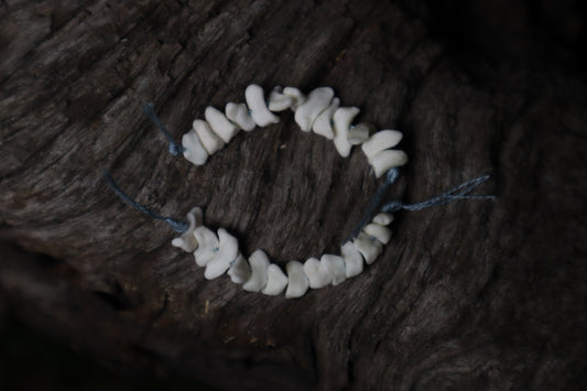 Coyote Bone Beads