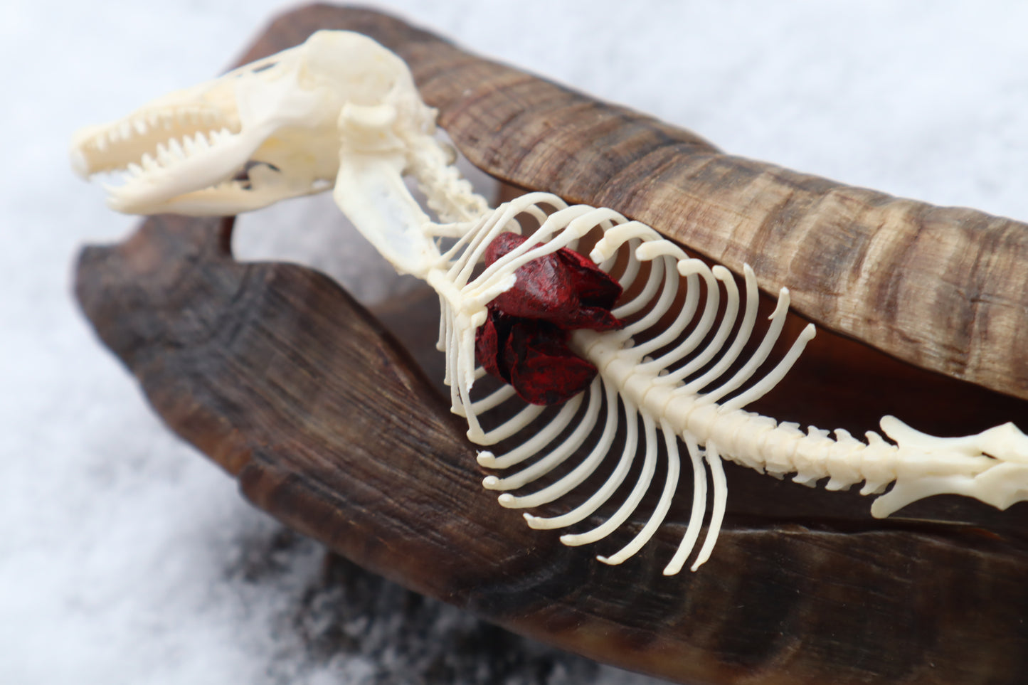 Mole Serpent Articulation