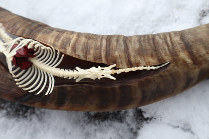 Mole Serpent Articulation