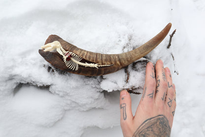 Mole Serpent Articulation