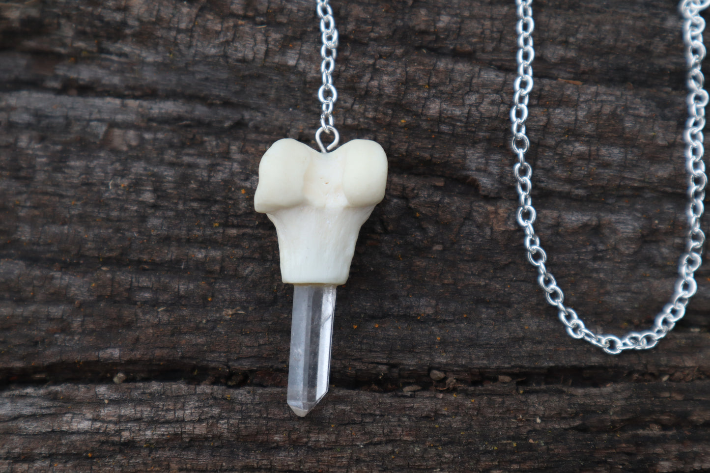 Polydactyl Cat Femur Pendulum with Ouroboros Ring