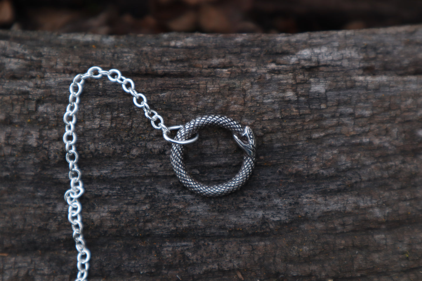 Polydactyl Cat Femur Pendulum with Ouroboros Ring