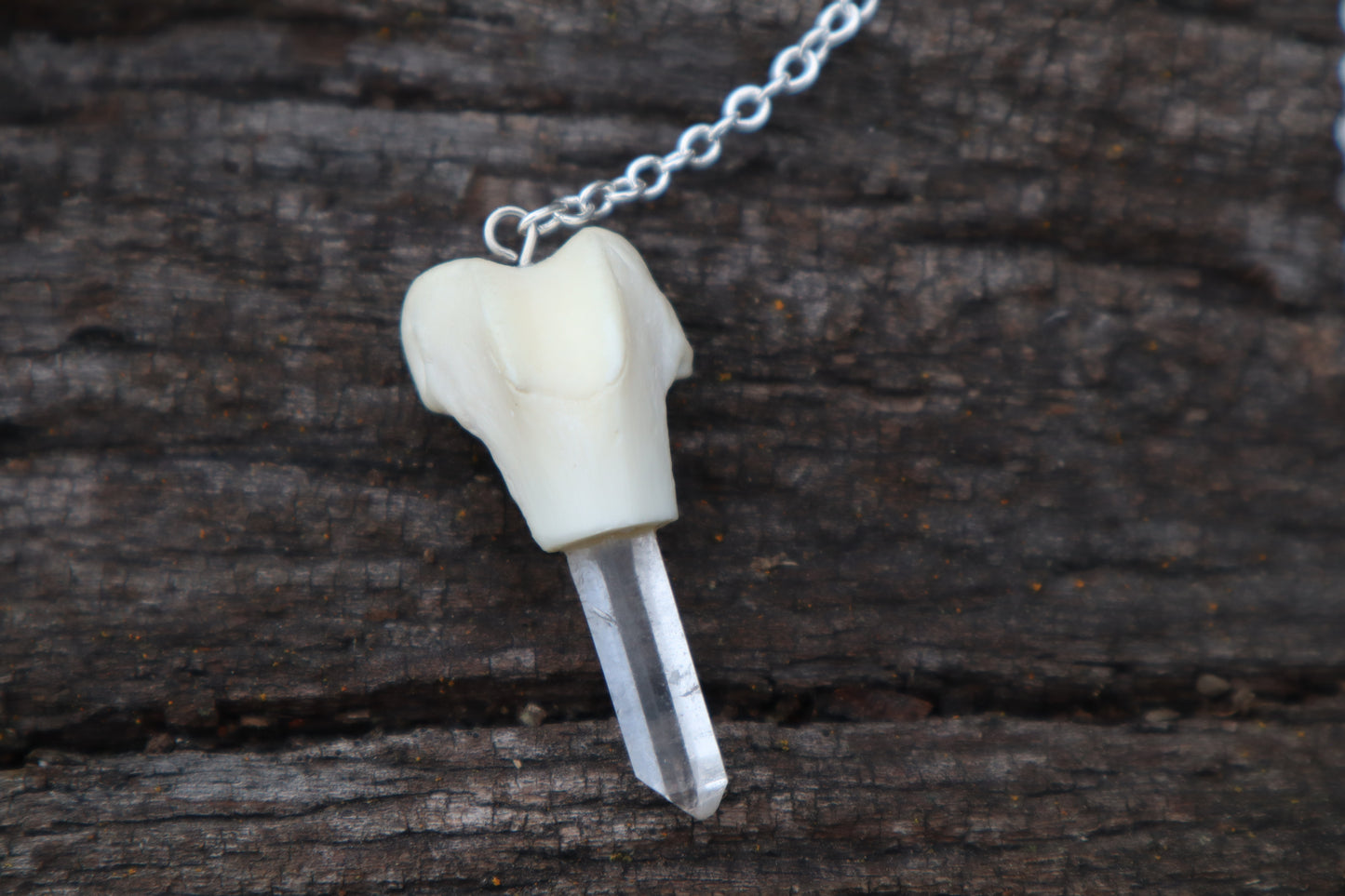 Polydactyl Cat Femur Pendulum with Ouroboros Ring