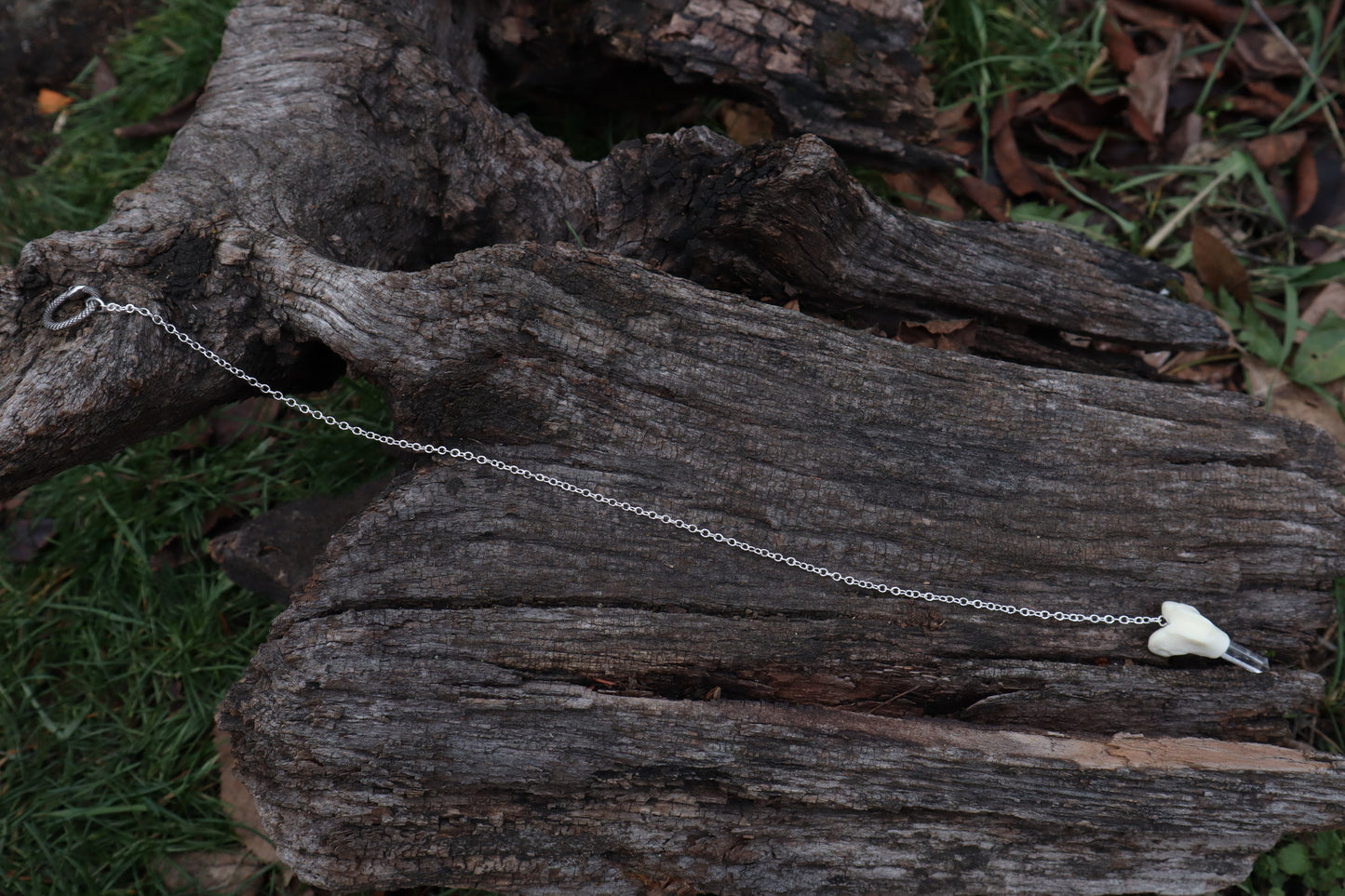 Polydactyl Cat Femur Pendulum with Ouroboros Ring