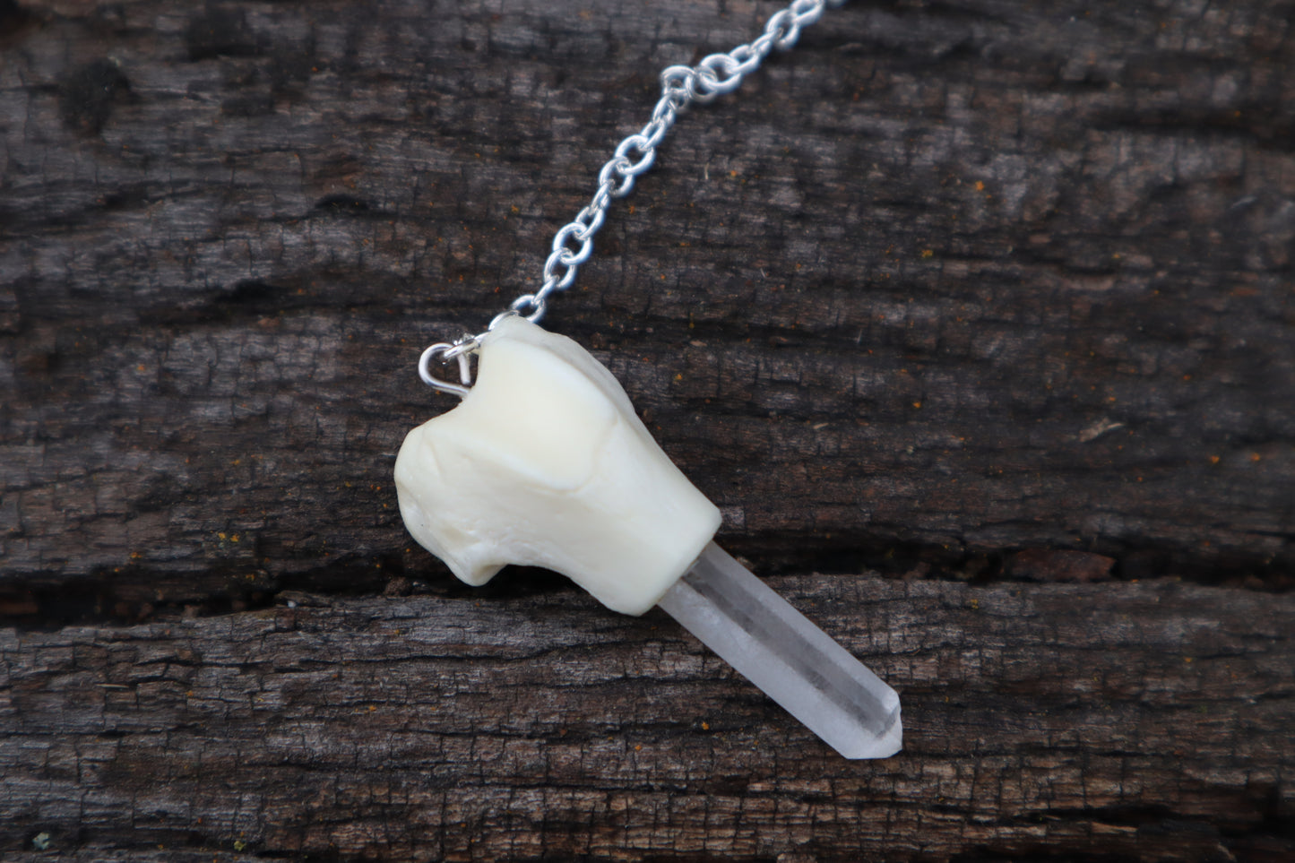 Polydactyl Cat Femur Pendulum with Ouroboros Ring