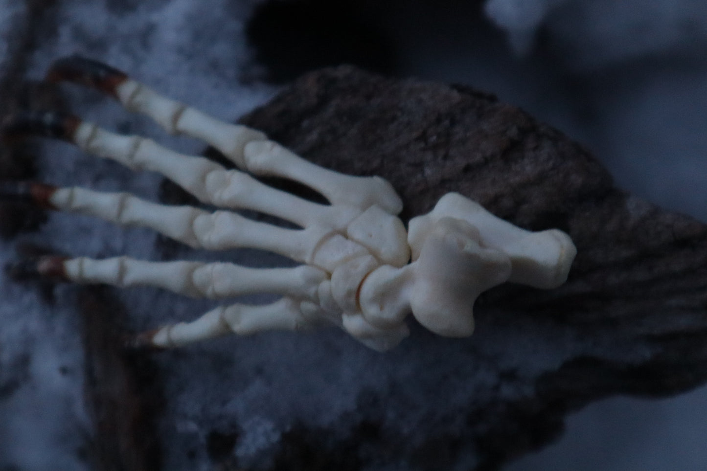 Badger Paw Articulation