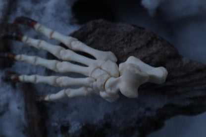 Badger Paw Articulation