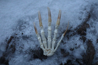 Badger Paw Articulation