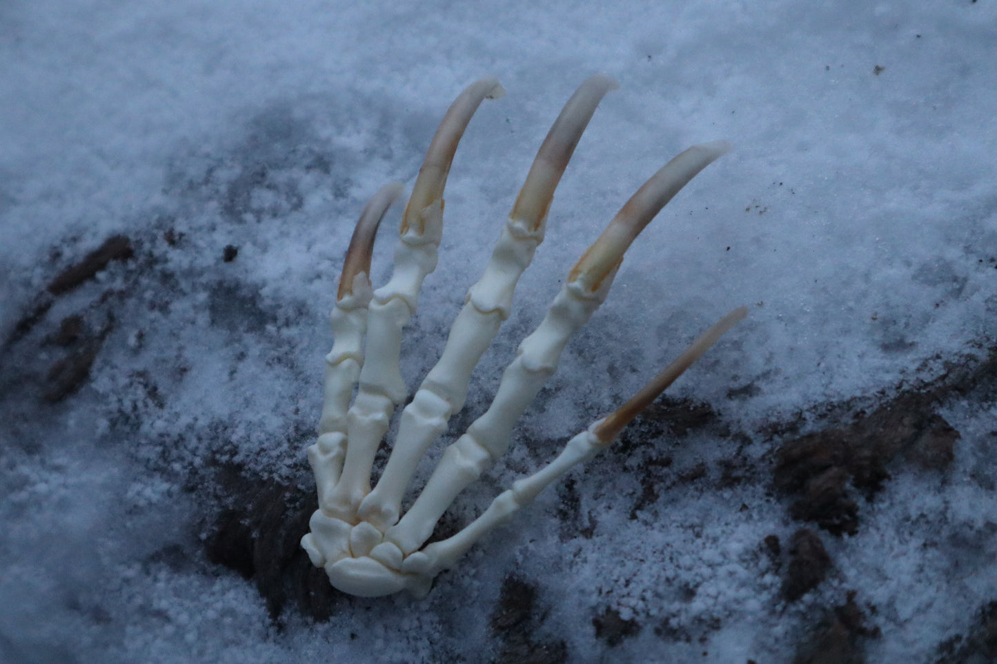 Badger Paw Articulation