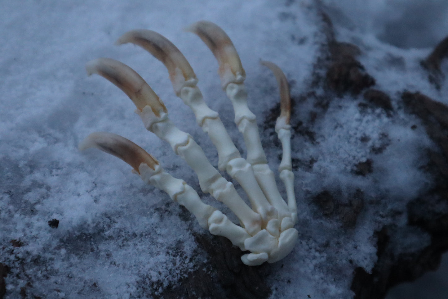 Badger Paw Articulation