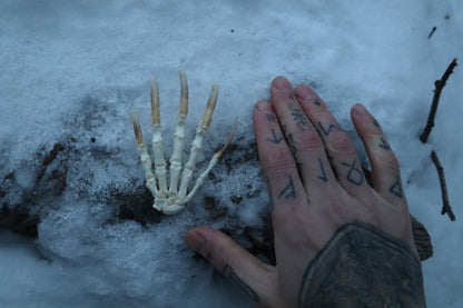 Badger Paw Articulation