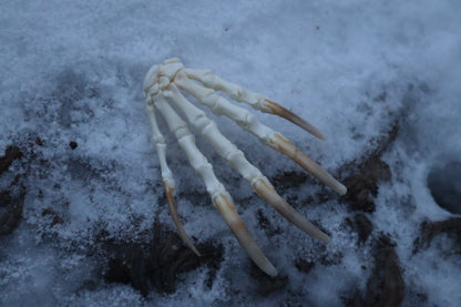 Badger Paw Articulation
