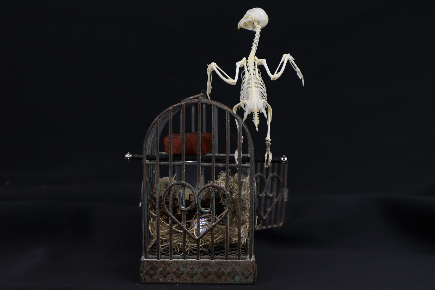 Reserved For Amanda - Boundless - Articulated Budgerigar Sculpture Payment Plan 3 of 4