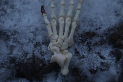 Porcupine Paw Articulation