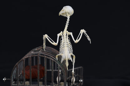 Reserved For Amanda - Boundless - Articulated Budgerigar Sculpture Payment Plan 2 of 4
