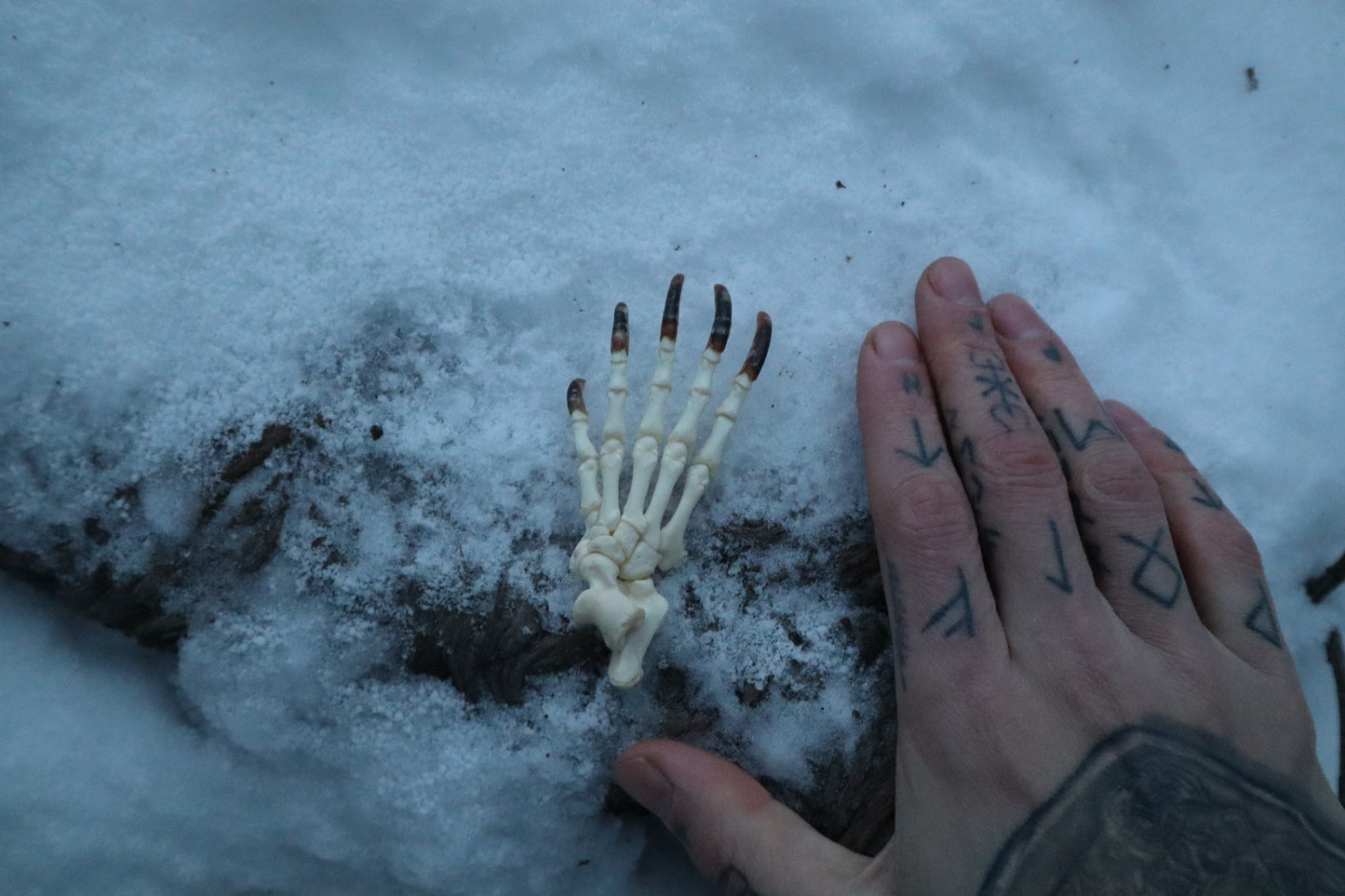 Porcupine Paw Articulation