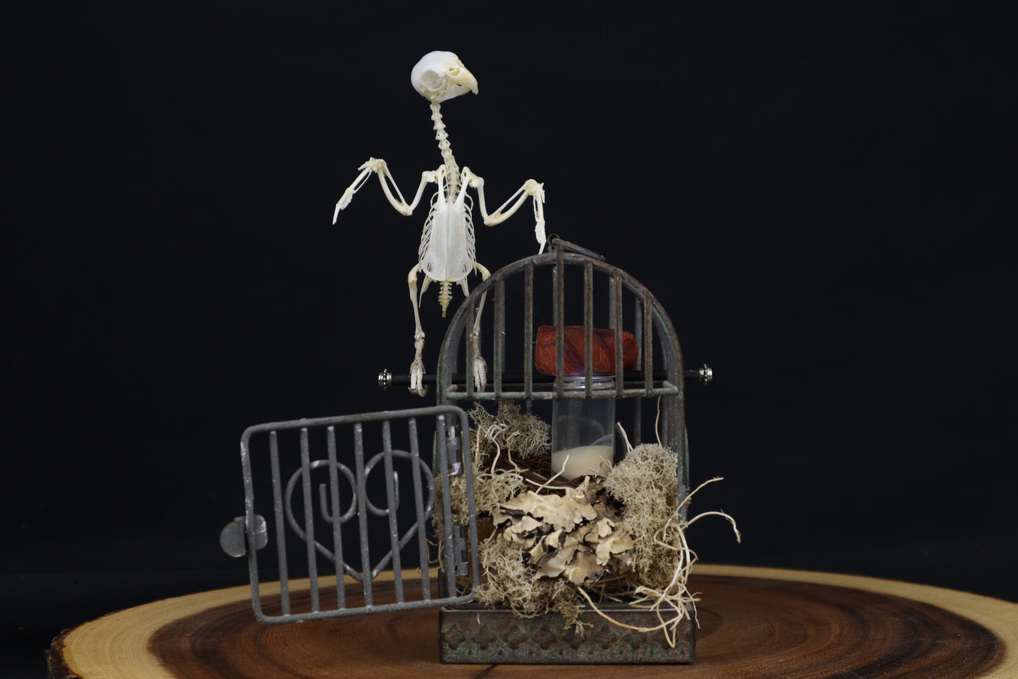 Reserved For Amanda - Boundless - Articulated Budgerigar Sculpture Payment Plan 2 of 4