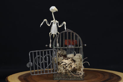 Reserved For Amanda - Boundless - Articulated Budgerigar Sculpture Payment Plan 4 of 4