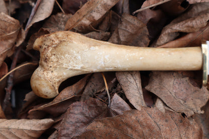 Great Pyrenees Mountain Dog Femur Knife