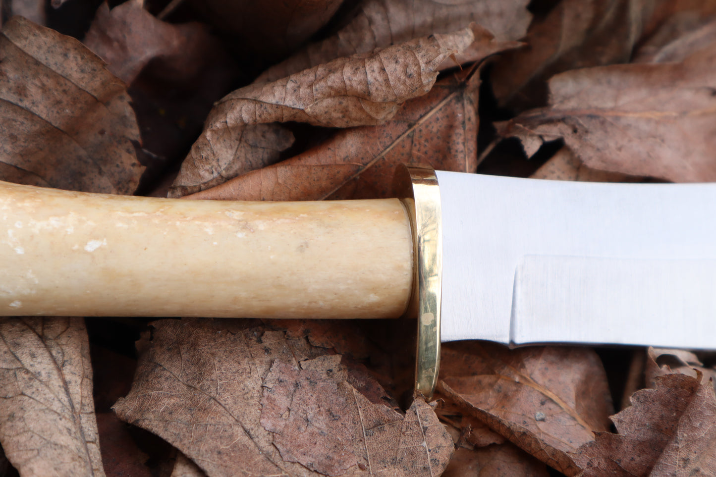 Great Pyrenees Mountain Dog Femur Knife
