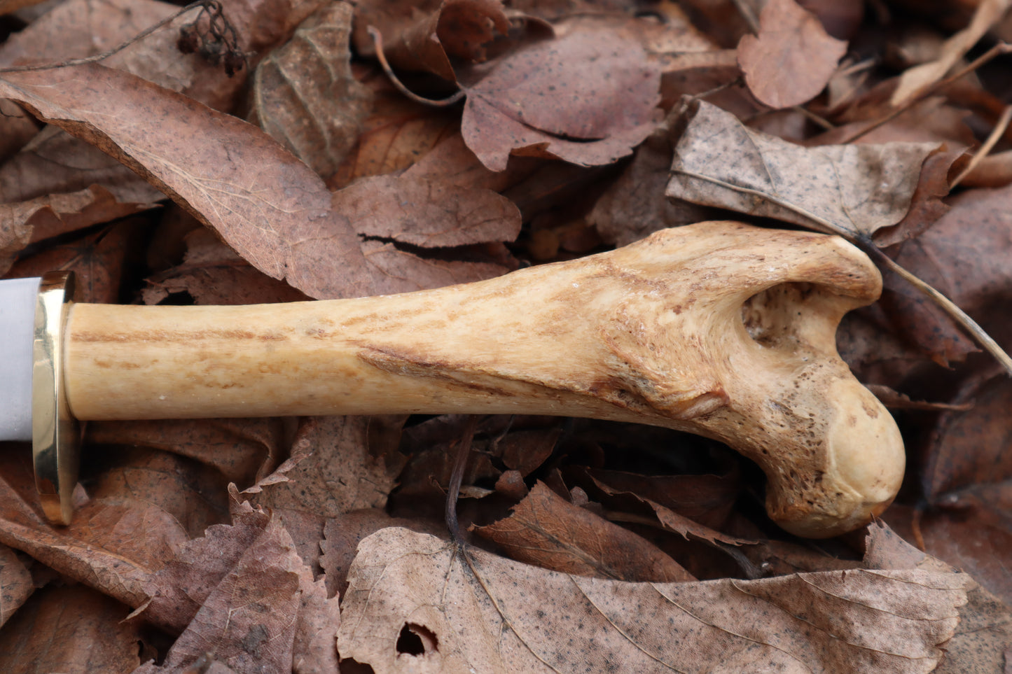 Great Pyrenees Mountain Dog Femur Knife