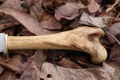 Great Pyrenees Mountain Dog Femur Knife