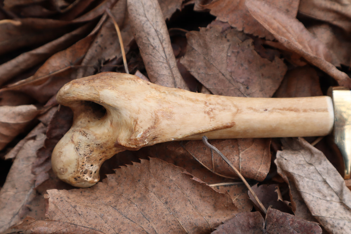 Great Pyrenees Mountain Dog Femur Knife