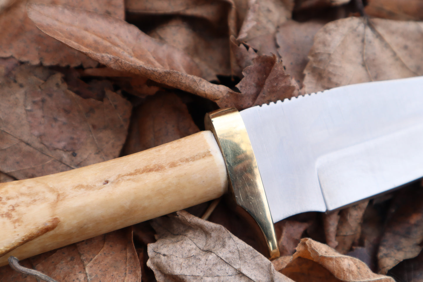 Great Pyrenees Mountain Dog Femur Knife