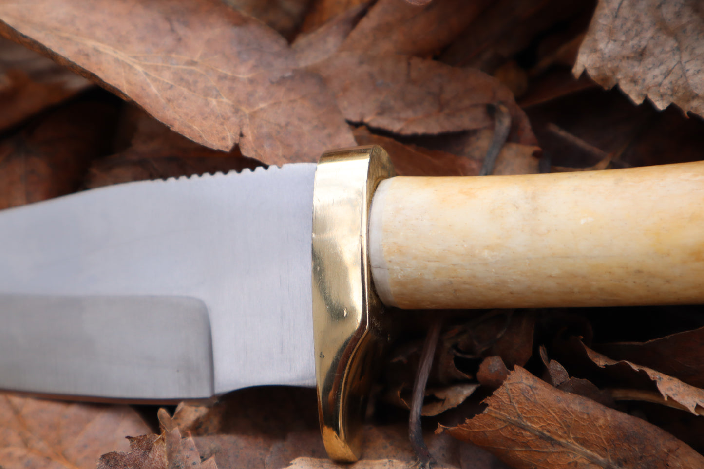 Great Pyrenees Mountain Dog Femur Knife