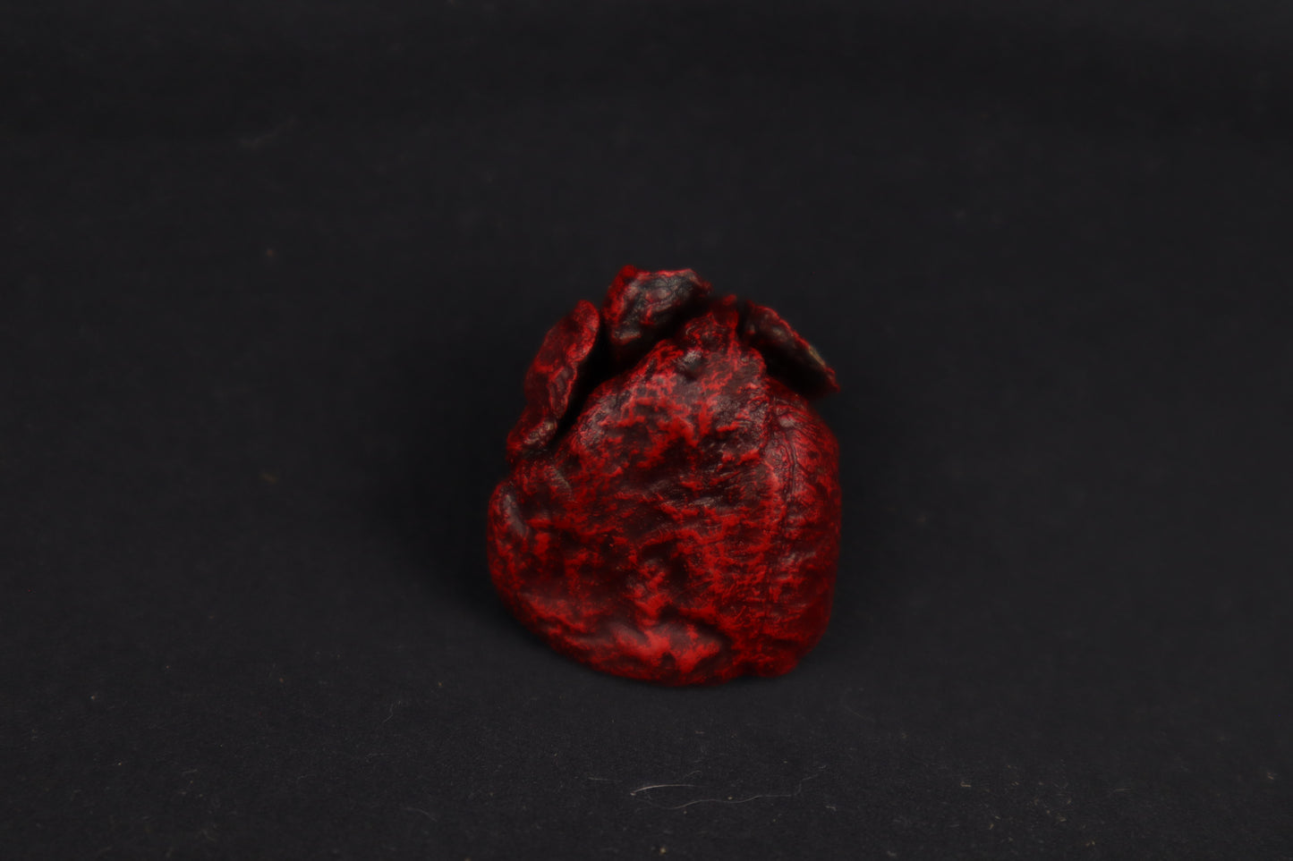 Dry Preserved Kitten Heart