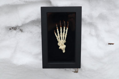 Porcupine Paw Articulation