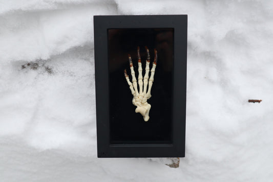 Porcupine Paw Articulation