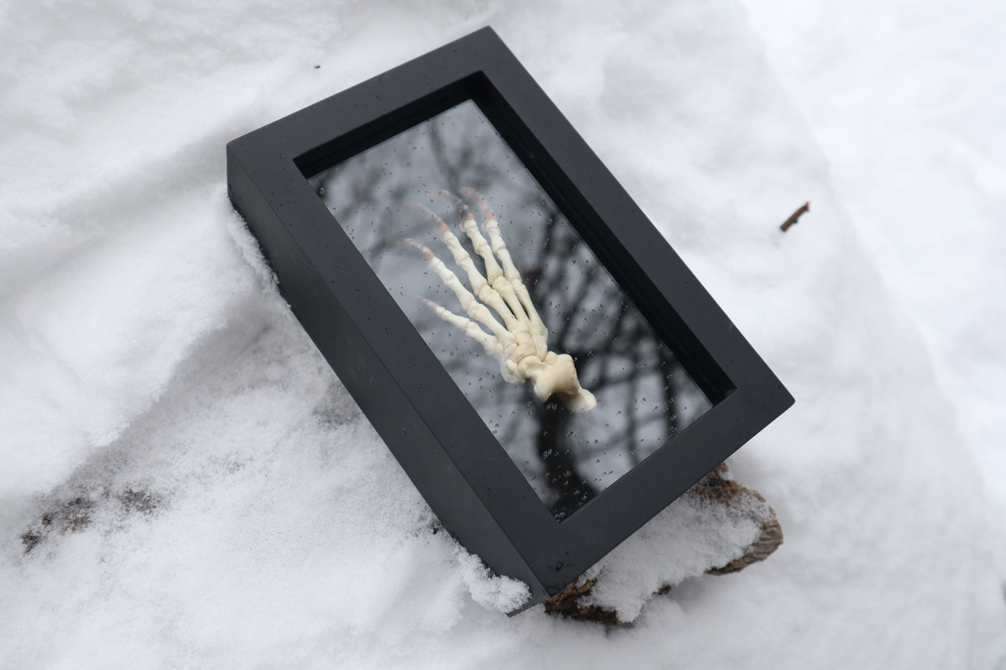 Porcupine Paw Articulation