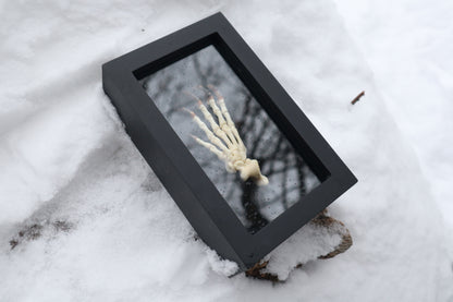 Porcupine Paw Articulation